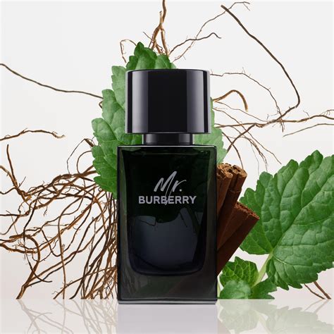 mr burberry kostenloser probe|mr burberry eau de parfum.